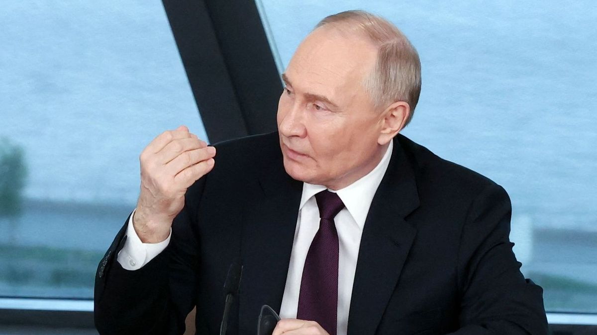 Putin verteidigt AfD-Kontakte zum Kreml