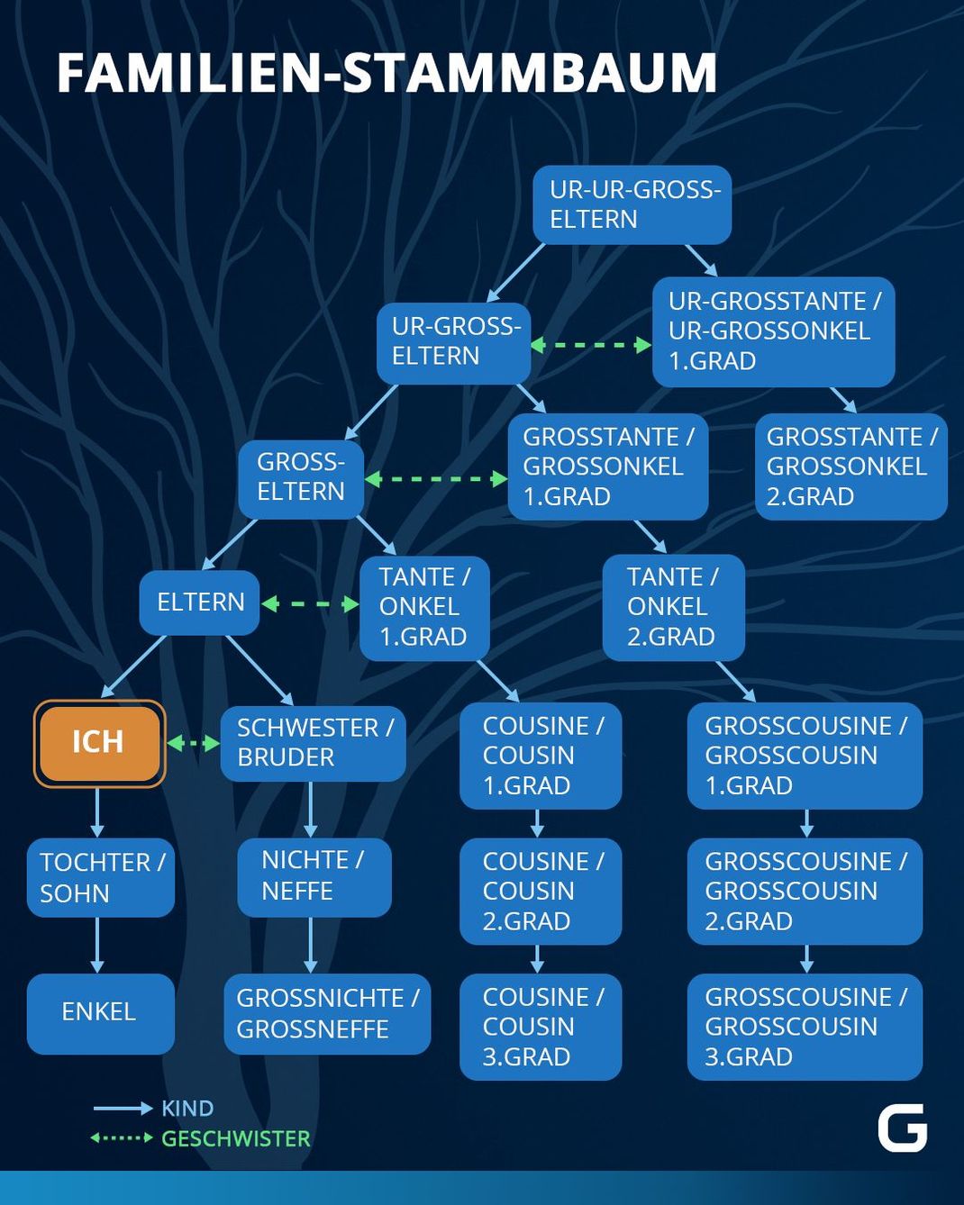 So sieht der Familien-Stammbaum mit den unterschiedlichen Verwandtschaftsbeziehungen aus.