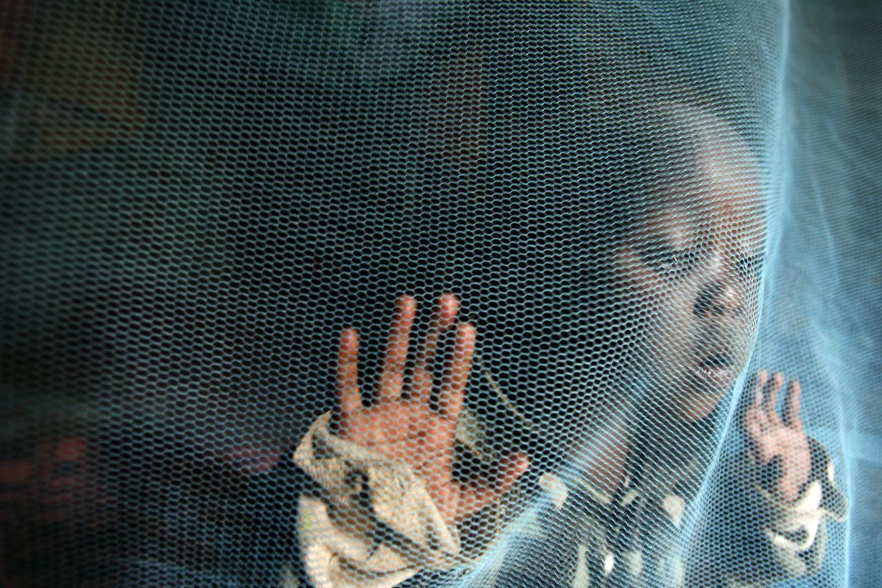 Eine gute Nachricht kam im Mai von der Weltgesundheitsorganisation. Algerien und Argentinien sind frei von Malaria. Seit 3 Jahren wurden hier keine neuen Fälle registriert. Inzwischen gelten 38 Länder weltweit als malaria-frei. Dennoch: 93 Prozent der Infektionen betreffen aktuell Afrika. Hier herrscht also noch Handlungsbedarf. 