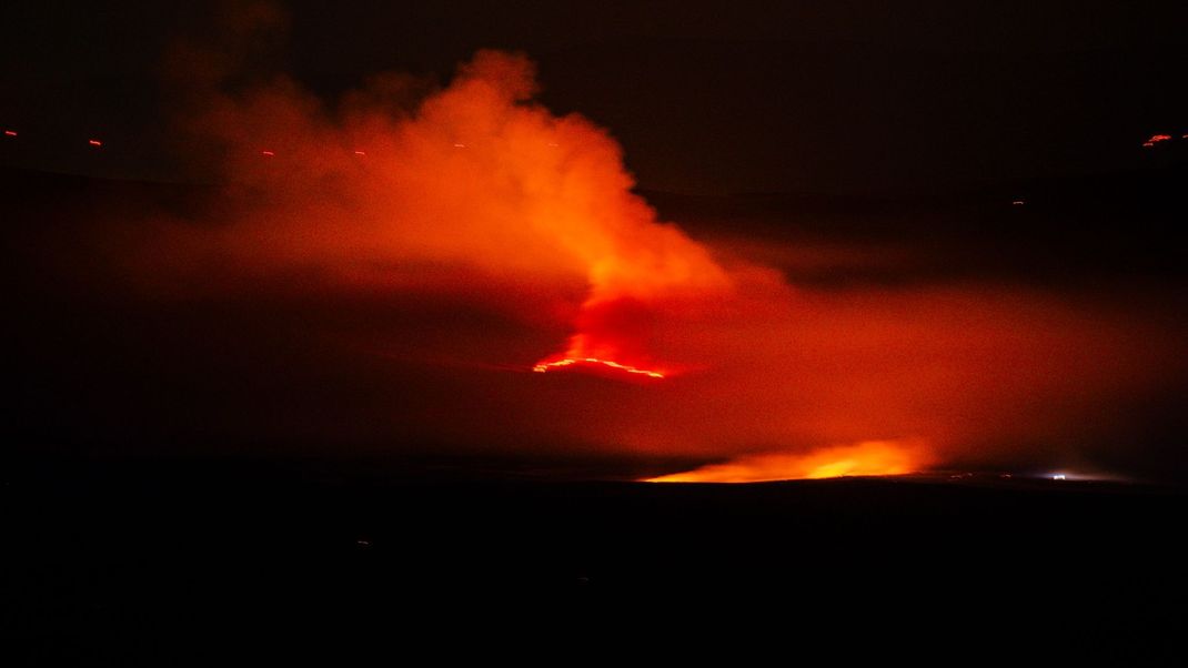 Portugal bittet um Hilfe: Es sind bereits Zehntausende Hektar Waldfläche von Feuern vernichtet worden.
