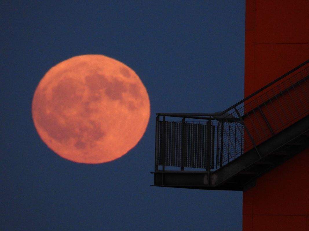 Auch am Aussichtsturm der Hafencity in Hamburg ließ sich der Erdbeermond blicken.