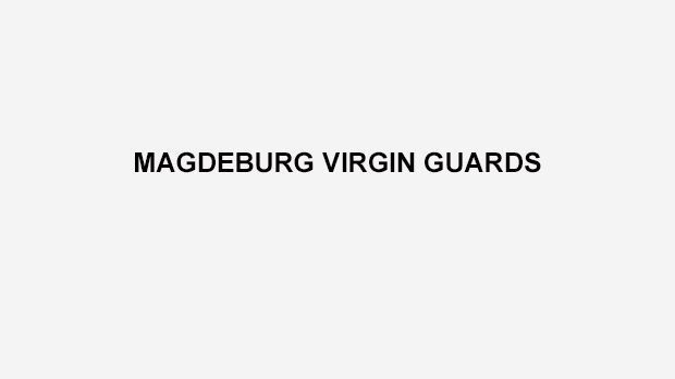 
                <strong>Magdeburg Virgin Guards</strong><br>
                Die Magdeburg Virgin Guards spielen in der Oberliga, der vierten Liga im deutschen American Football. 
              