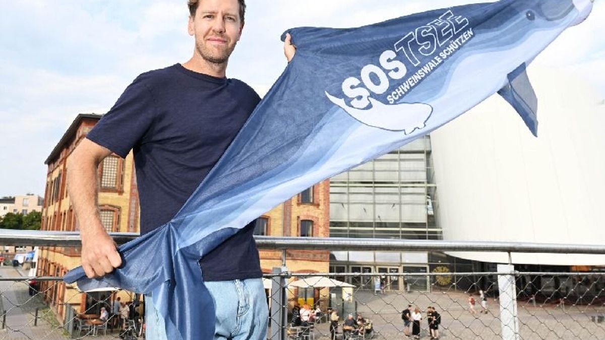 Sebastian Vettel in Stralsund mit einer Schweinswal-Fahne