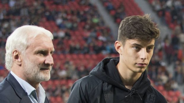 
                <strong>Einer wie Özil: Das ist Shootingstar Kai Havertz</strong><br>
                Wenn Havertz nicht spricht, tun es andere über ihn. Und das in den höchsten Tönen. "Er hat eine Gabe mit seinem linken Füßchen und eine Ballbehandlung wie Özil. Sensationell", sagte Sportdirektor Rudi Völler über seinen Youngster, dessen Vorbild übrigens jener Özil ist. "Es ist für ihn selbstverständlich, wie er den Ball streichelt. Die Dinge schauen bei ihm so einfach aus", so Völler weiter.
              