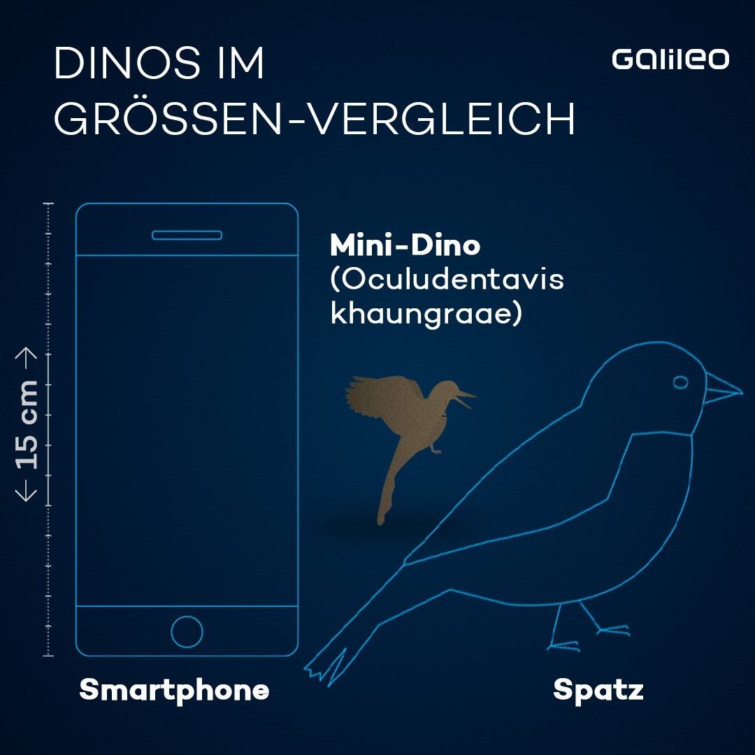 Nicht mal halb so groß wie ein Spatz: Der wohl kleinste Dino der Welt