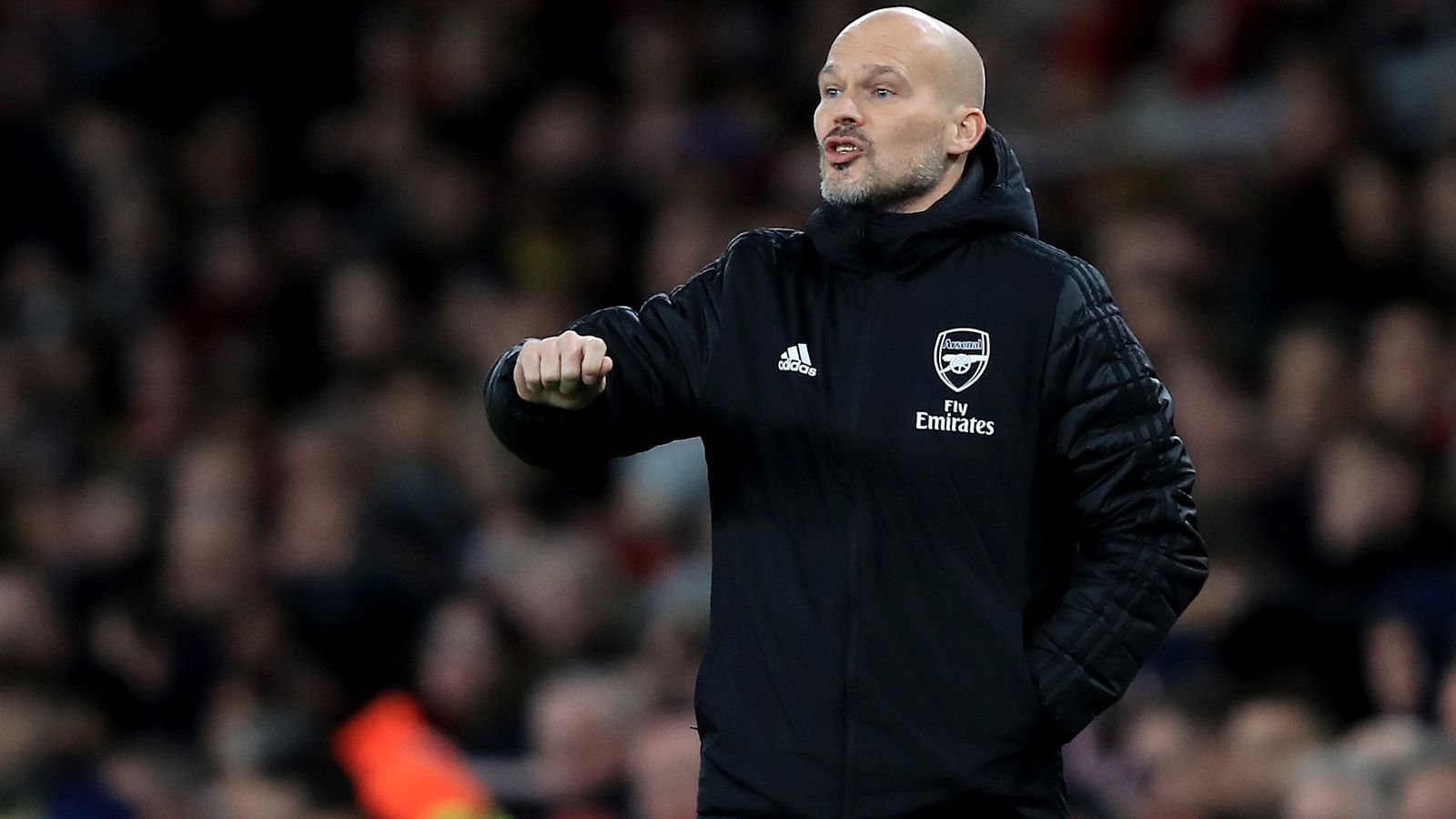 
                <strong>Freddie Ljungberg (Interimstrainer FC Arsenal)</strong><br>
                Er hat derzeit den Arsenal-Job! Nach der Trennung von Unai Emery ist Ex-Arsenal-Profi Freddie Ljungberg als Interimscoach bei den Engländern im Amt. Der 42-jährige Schwede sitzt seit drei Spielen auf der Bank und hat bislang eine eher bescheidene Bilanz (ein Sieg, ein Unentschieden, eine Niederlage). Seit Saisonbeginn war der frühere Nationalspieler schon im Trainerteam unter Emery, bevor Ljungberg den Spanier beerbte. Für den einstigen Mittelfeldspieler sind die Gunners gleichzeitig die erste Station im Profifußball. 
              