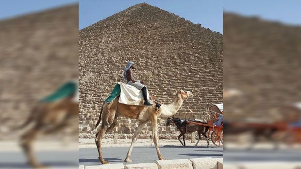 
                <strong>Floyd Mayweather auf Kamel in Kairo</strong><br>
                Der extrovertierte Ex-Boxer scheint sich nicht nur in luxuriösen Autos und Privatjets von A nach B zu bewegen. Im Urlaub in Kairo gönnt sich "The Money" Mayweather einen entspannten Kamelritt vor den Pyramiden. Sicher nicht so gemütlich wie der Ledersitz in seinem Ferrari, dafür bietet das Kamel den besseren Überblick.
              