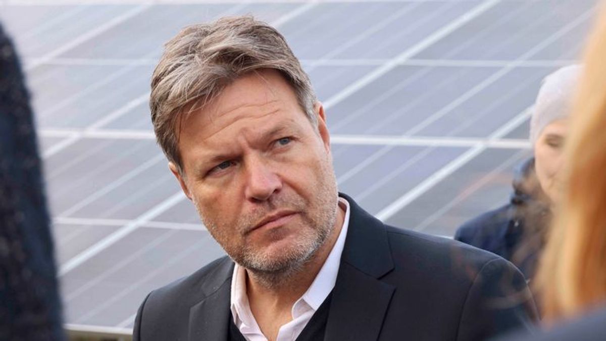 Geld für erneuerbare Energien: Mehr Investitionen in Wind- und Solarbranche geplant