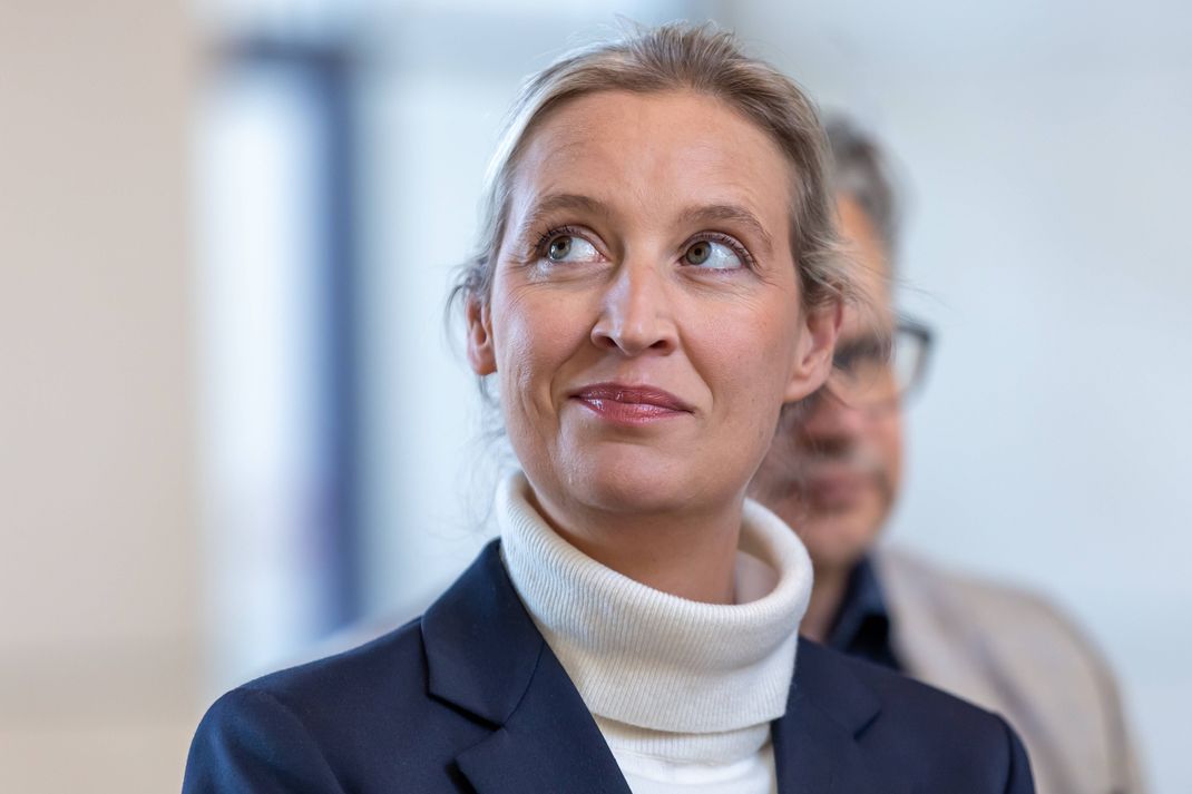 AfD-Chefin Alice Weidel wehrt sich gegen Beleidigungen im Netz - mithilfe eines Paragrafen, den ihre Partei kritisiert.
