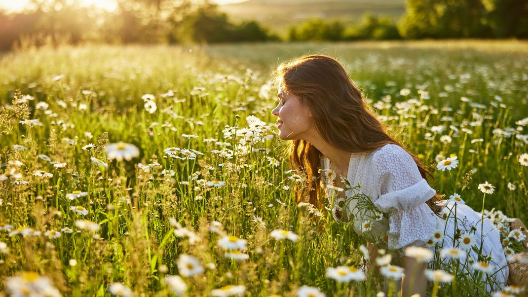 Du bist im April geboren? Dann ist deine Geburtsblume das Gänseblümchen.