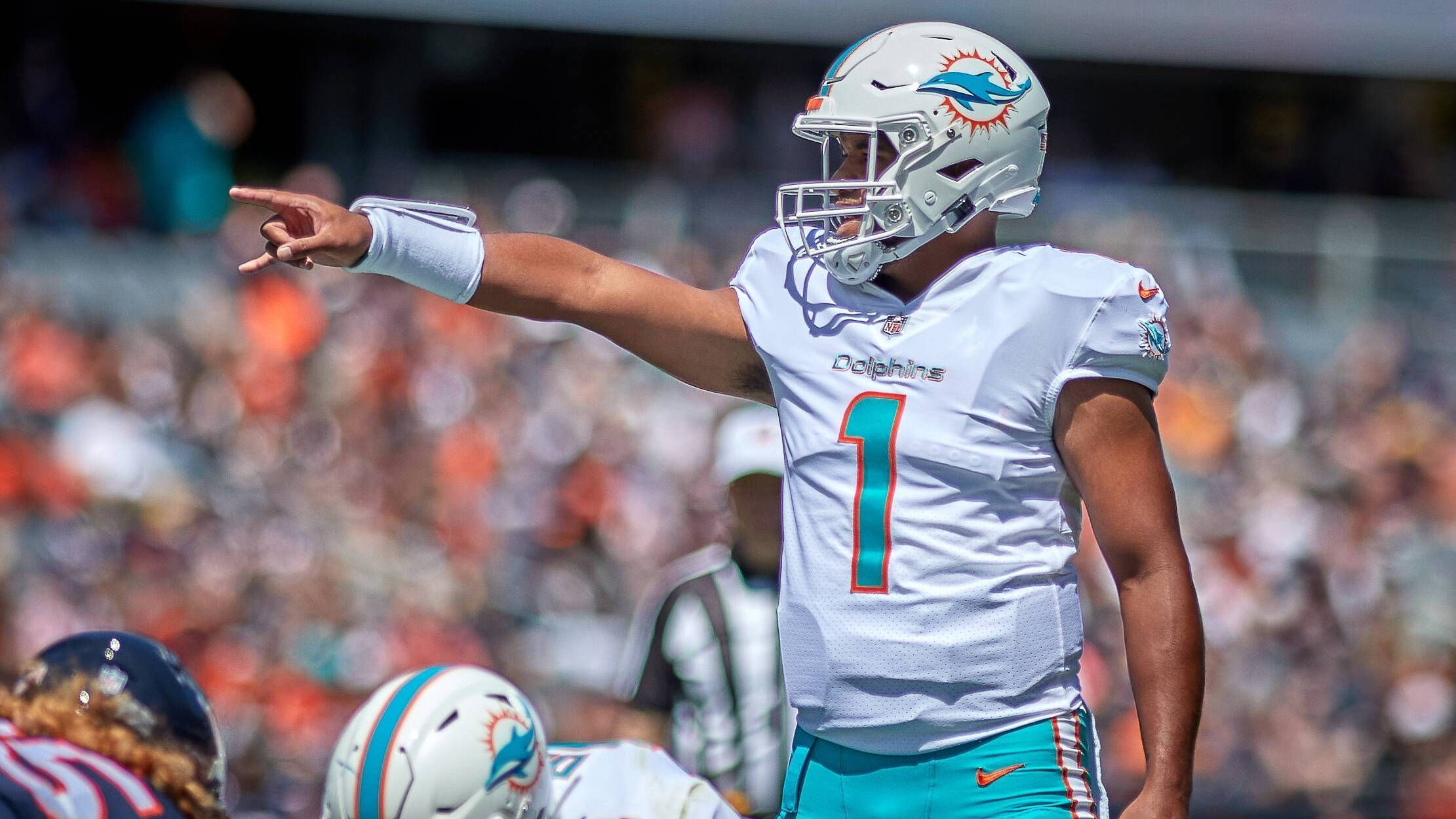 
                <strong>Miami Dolphins: #FinsUp</strong><br>
                Instagram: @miamidolphinsTwitter: @MiamiDolphinsFacebook: @MiamiDolphins
              