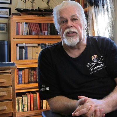 Umweltschützer Paul Watson kommt frei