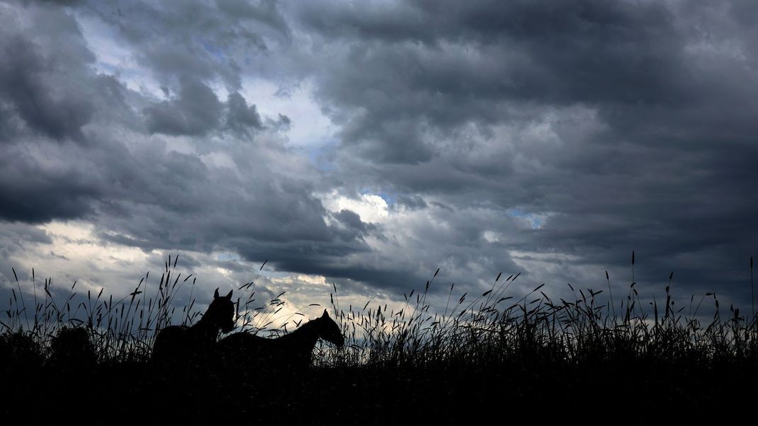 Menschen in Schwaben sollten sich am Abend auf Gewitter einstellen.