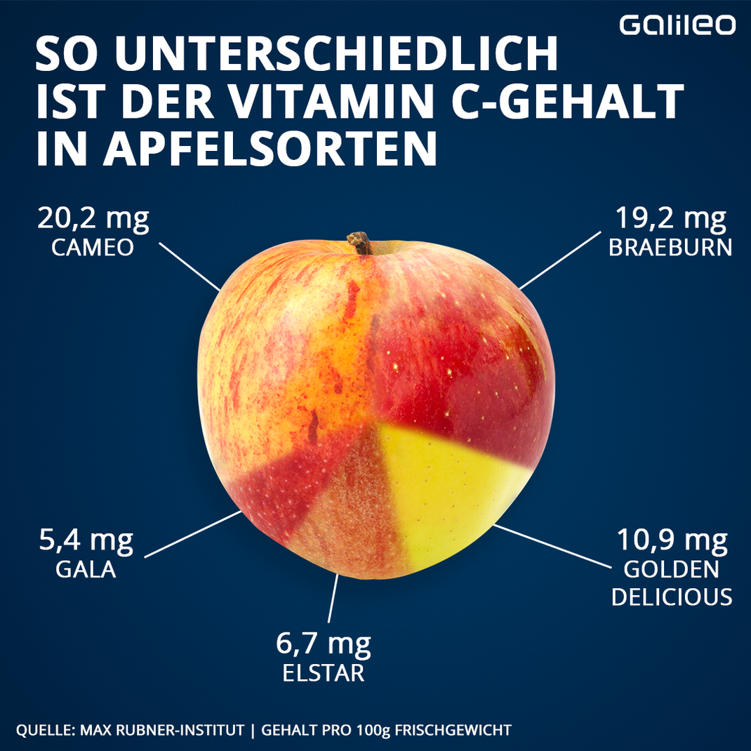 So viel Vitamin C enthalten die einzelnen Apfelsorten. 