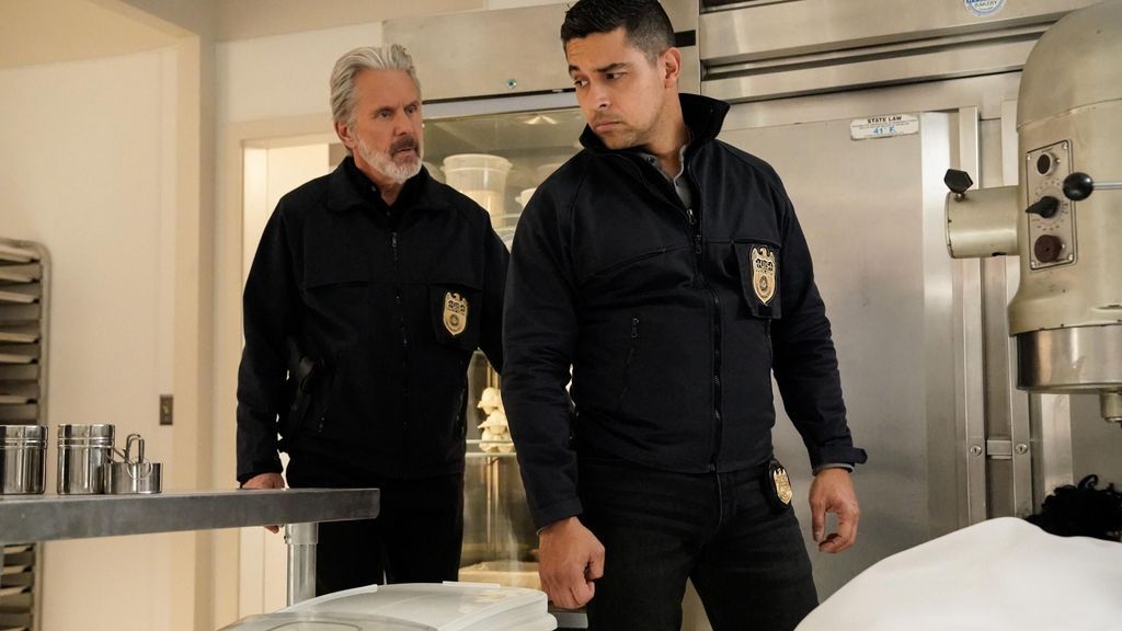 Das erwartet Fans in Staffel 22 von "Navy CIS": Neue Spannung und bekannte Gesichter