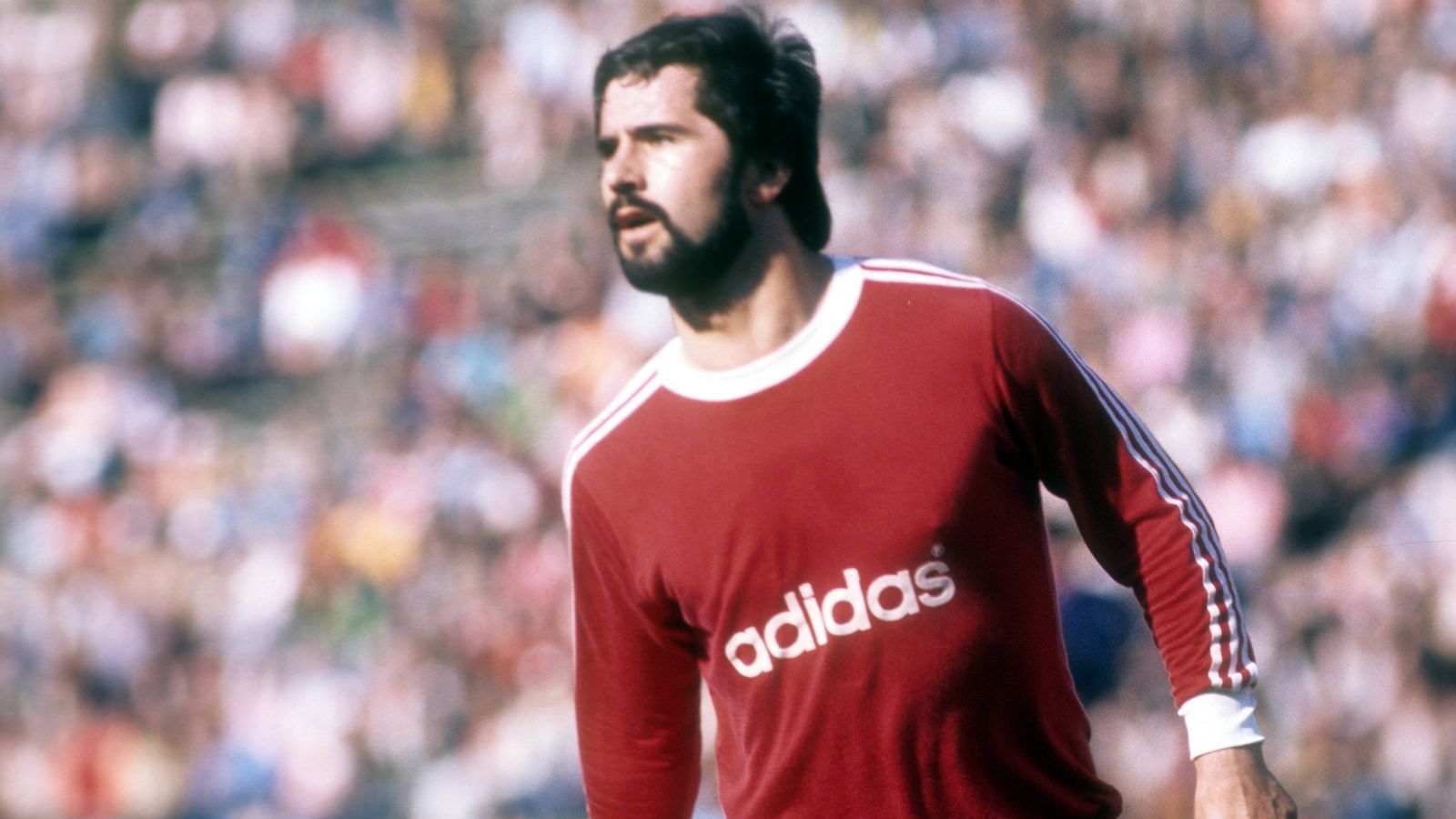 
                <strong>Platz 1: Gerd Müller</strong><br>
                &#x2022; <strong>Bundesliga-Tore: </strong>365 - <br>&#x2022; <strong>Bundesliga-Spiele:</strong> 427 - <br>&#x2022; <strong>Verein: </strong>FC Bayern München<br>
              