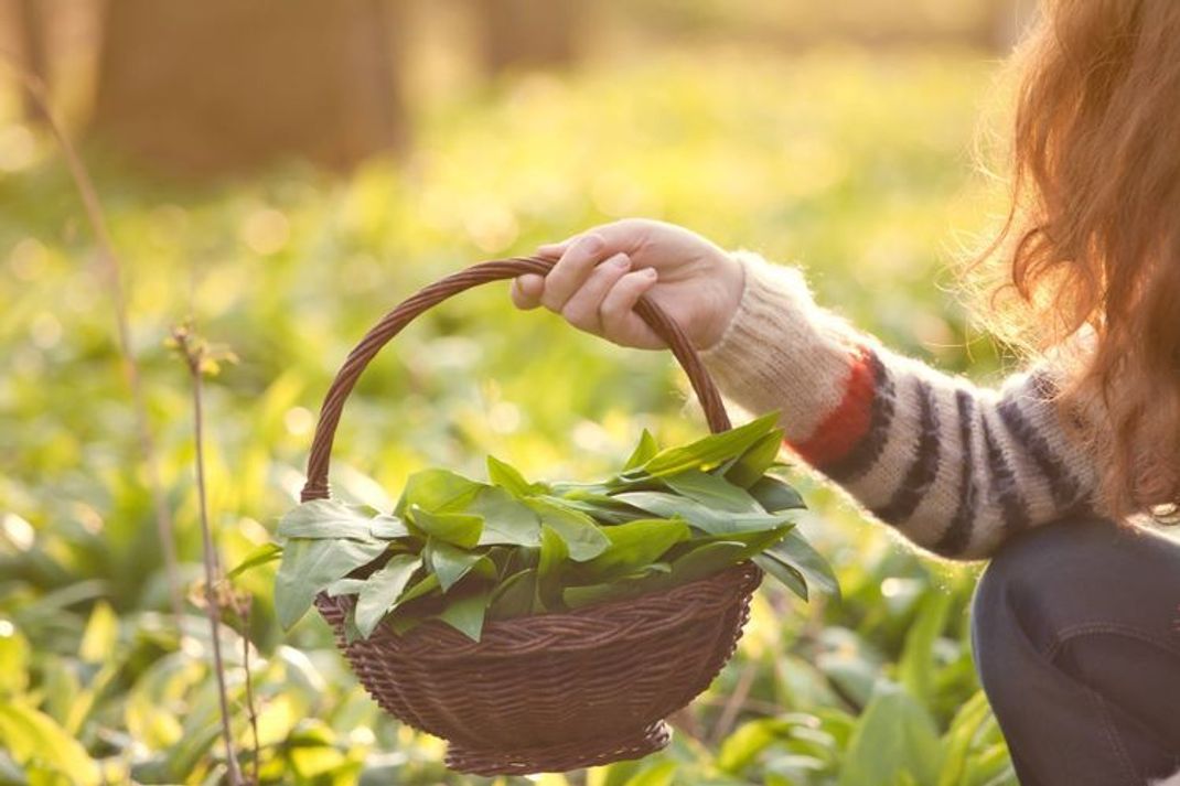 Foraging – selbst gesammelt schmeckt am besten