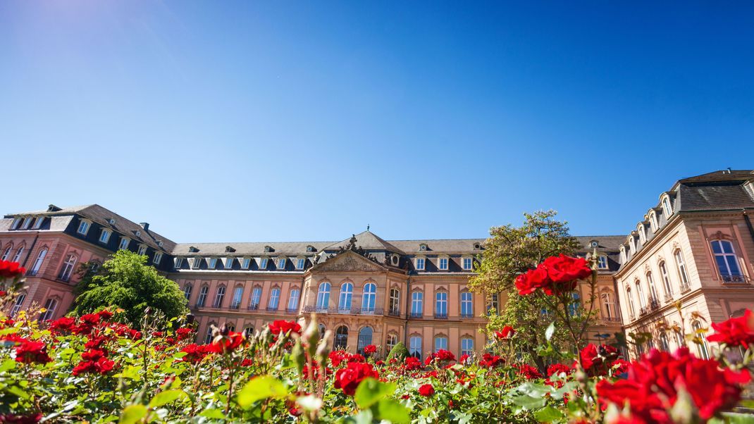 Das Landgericht in Stuttgart. Hier fand am Montag der Prozessauftakt gegen die mutmaßliche Diebin statt.