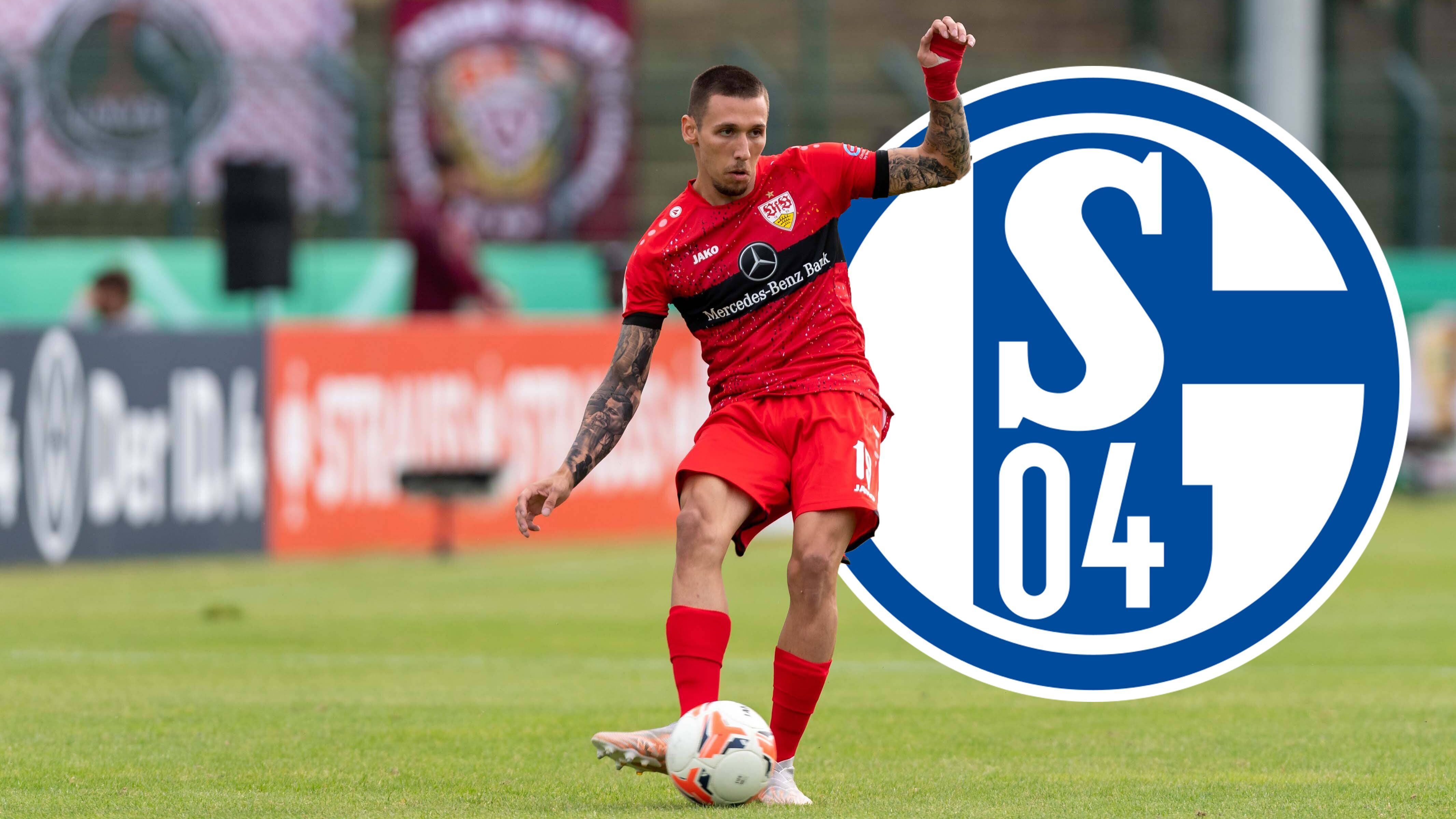 
                <strong>Darko Churlinov (FC Schalke 04)</strong><br>
                Der FC Schalke 04 hat sich für seine Mission Wiederaufstieg mit einer weiteren Offensivkraft verstärkt. Vom VfB Stuttgart wechselt der nordmazedonische EM-Teilnehmer Darko Churlinov auf Leihbasis nach Gelsenkirchen, eine Kaufoption haben sich die "Königsblauen" nicht gesichert. Der Flügelspieler steht bei den Schwaben noch bis 2024 unter Vertrag, im Januar 2020 war Churlinov vom 1. FC Köln an den Neckar wechselt. Für die Stuttgarter absolvierte der 21-Jährige 23 Spiele und verbuchte dabei zwei Tore, sowie eine Vorlage. 
              