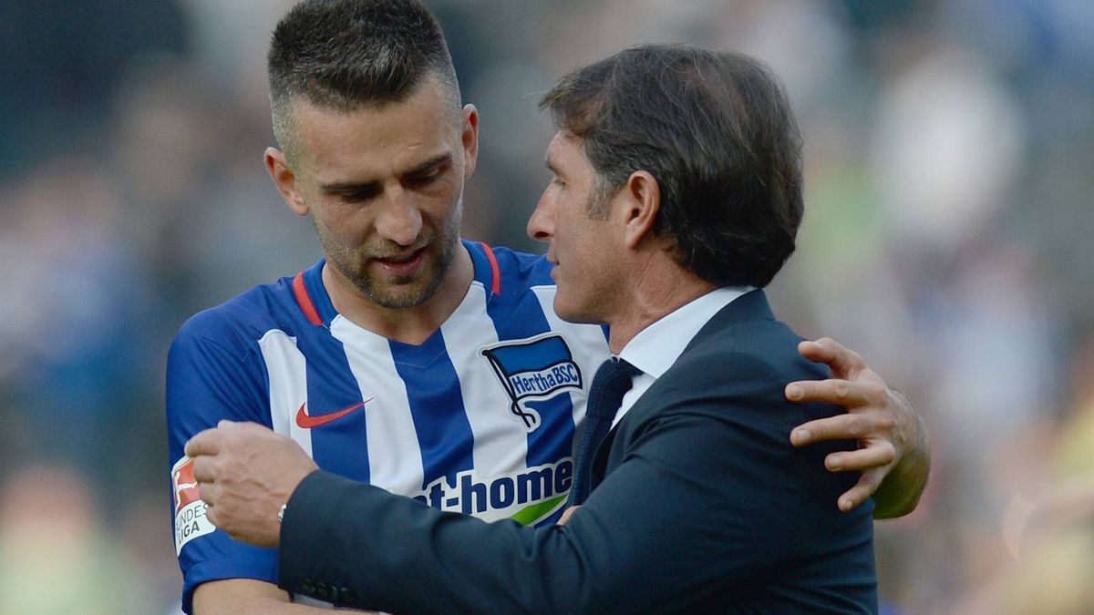 Ibisevic Labbadia