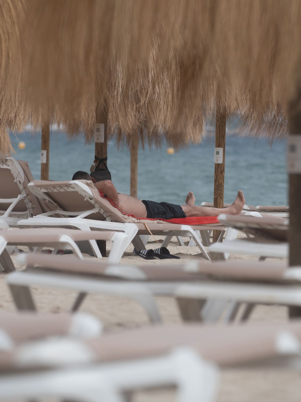 Liegen-Krise auf Mallorca: Viele Urlauber:innen setzen zunehmend auf das eigene Handtuch, statt teure Liegen zu mieten.