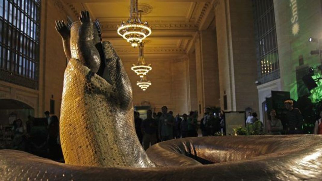 Schmeckts? Ein lebensgroßes Abbild einer Titanoboa verspeiste im Jahr 2012 ein Krokodil mitten in der New Yorker Grand Central Station – als Werbung für die Ausstellung „Monster Skankes" im National Museum of Natural History in Washington, D.C.