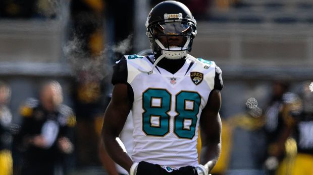 
                <strong>Dallas Cowboys</strong><br>
                Allen Hurns (von den Jacksonville Jaguars, neu: 17, vorher: 88)
              