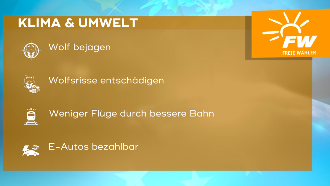 Die zentralen Forderungen der Freien Wähler in Bayern im Bereich "Klima und Umwelt" zur Europawahl 2024.