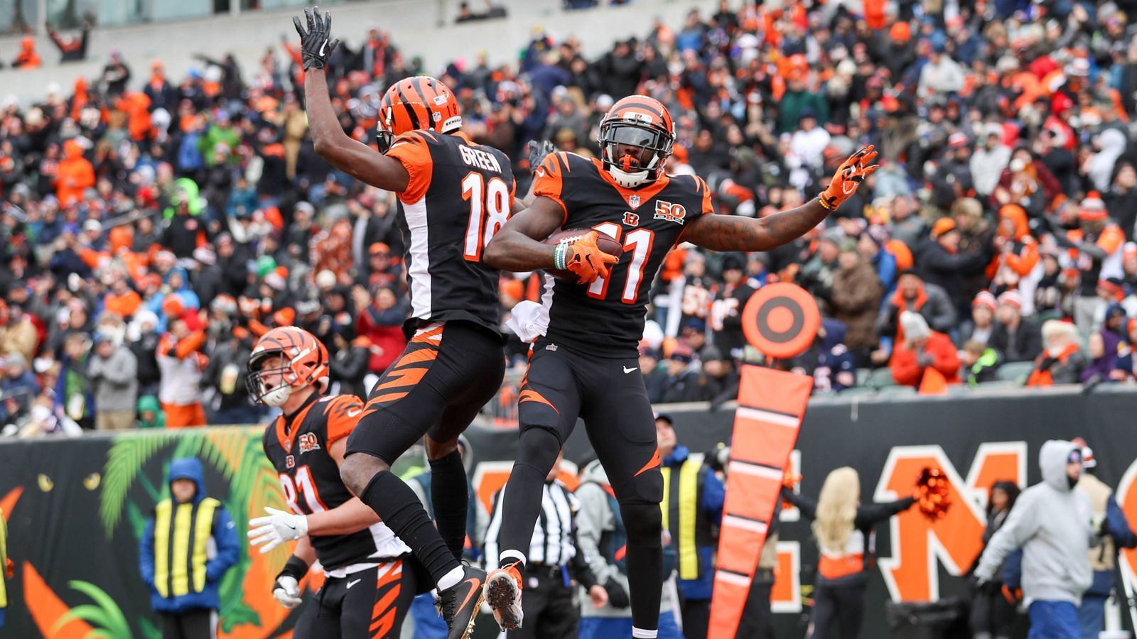 
                <strong>Cincinnati Bengals (2 Spieler)</strong><br>
                22 A.J. Green (WR), 63 Geno Atkins (DT)
              