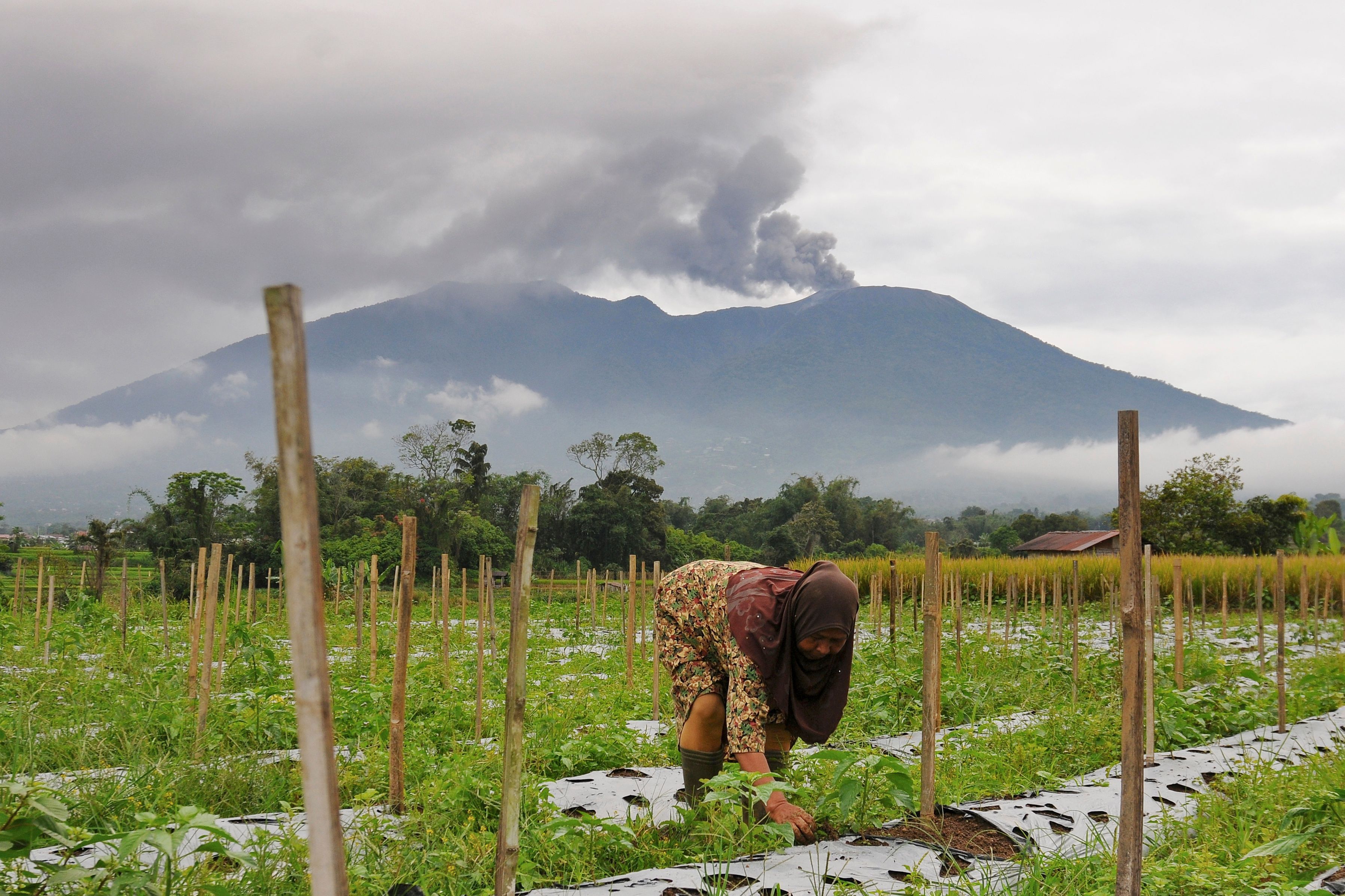 Der Berg auf der indonesischen Insel ist 3.000 Meter hoch.