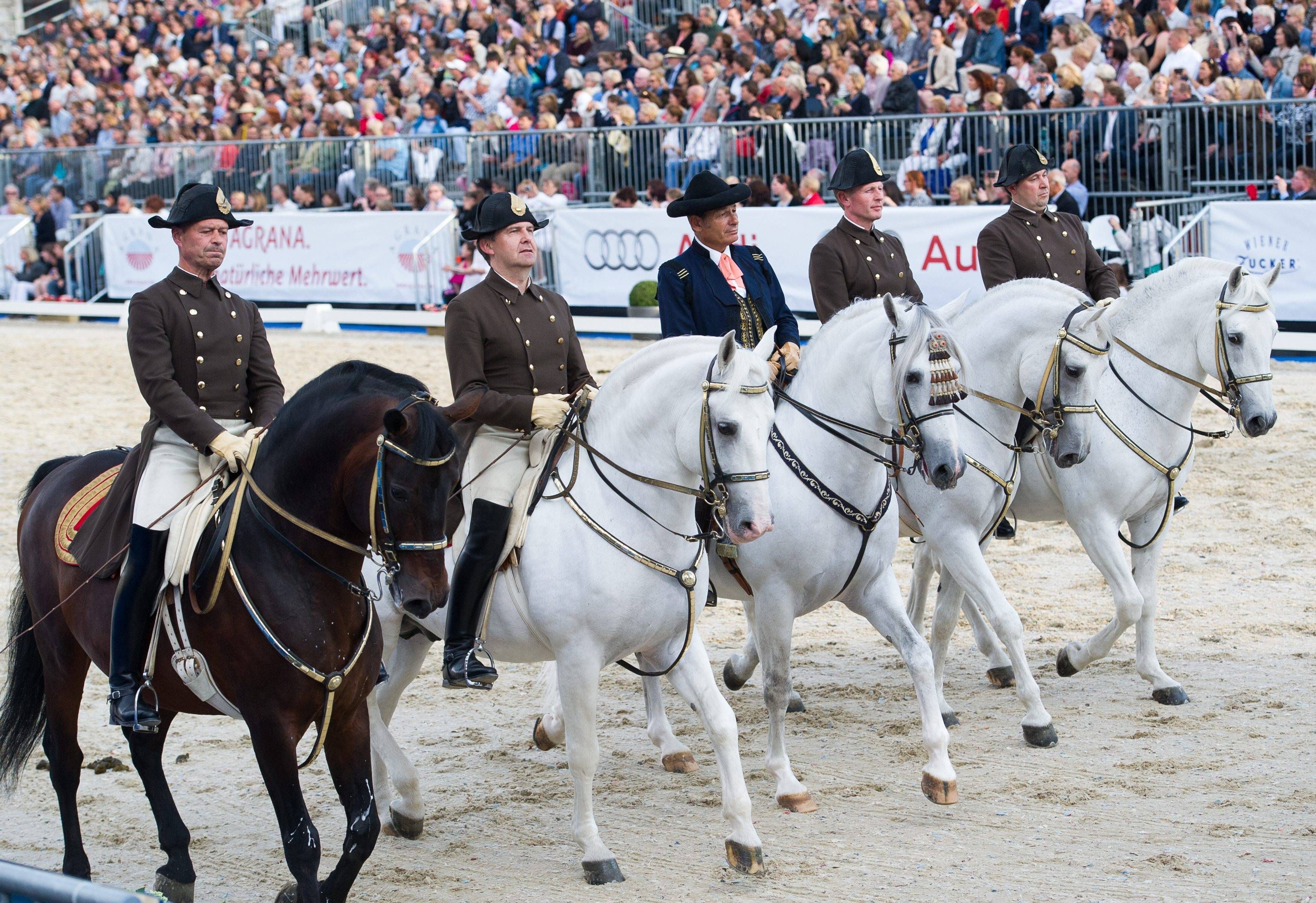 Vorführung&nbsp; der weltberühmten Lipizzaner Pferde der spanischen Hofreitschule.