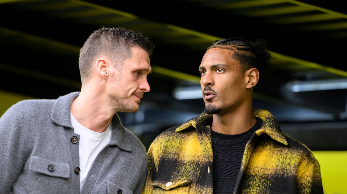 Sebastian Kehl, Sebastien Haller