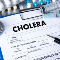 Cholera-Ausbruch trifft das südliche Afrika
