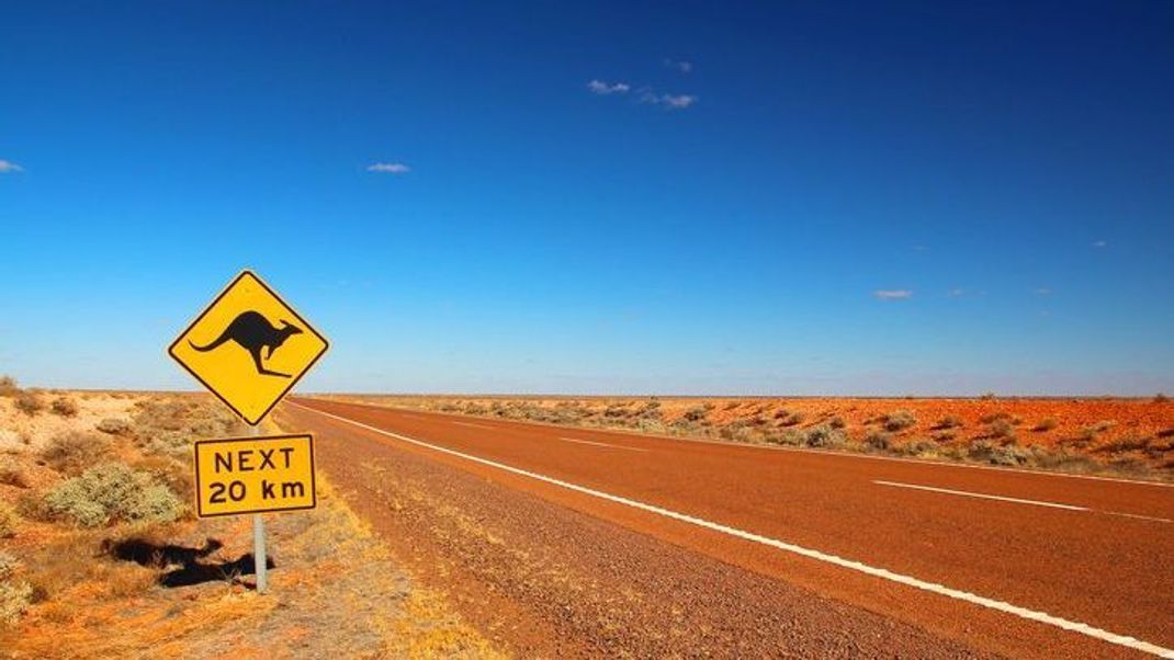 Viele Tiere und noch mehr Natur gibt es Australien zu entdecken.