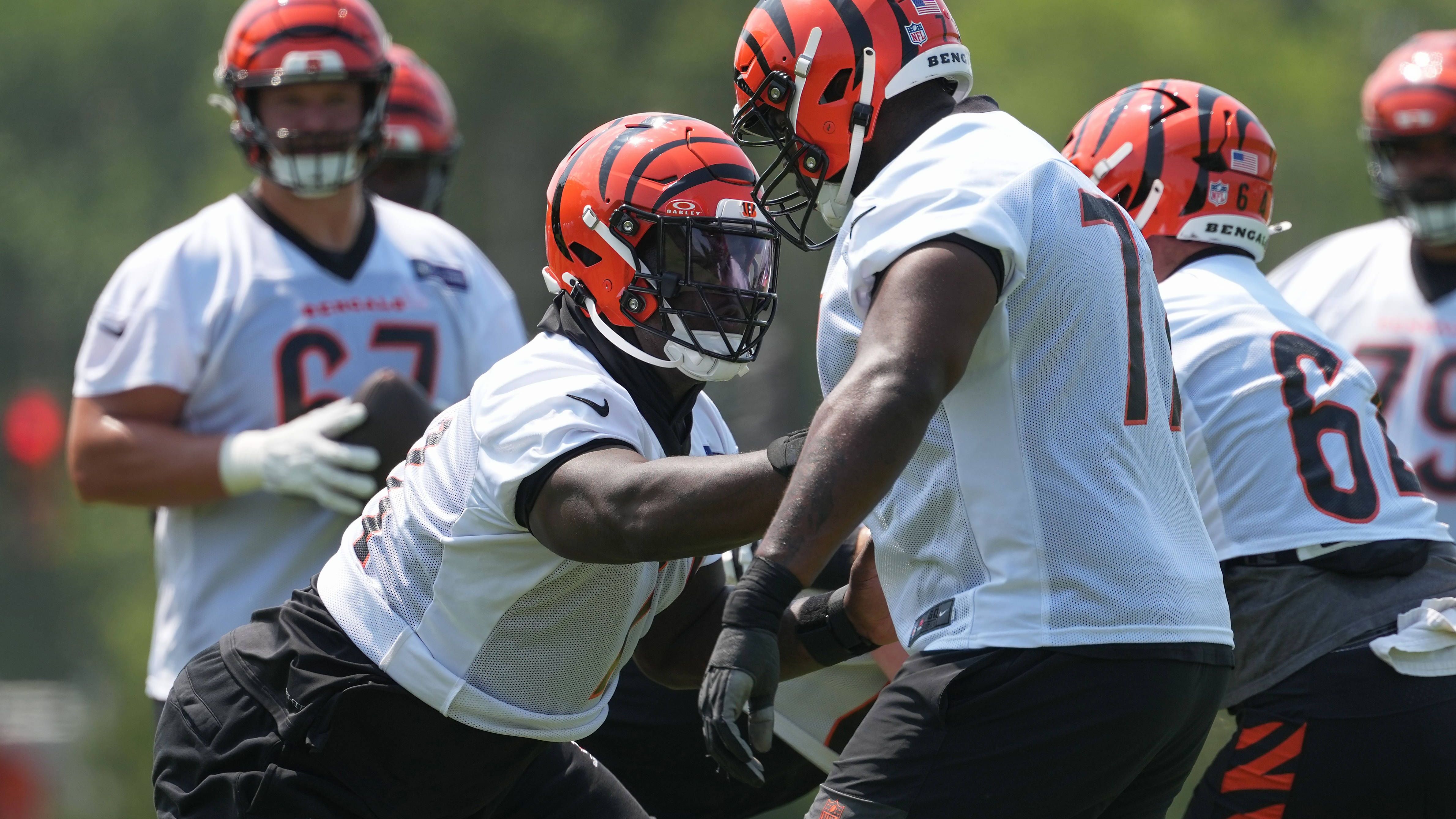 <strong>Cincinnati Bengals (4 Prozent)</strong>