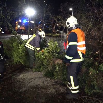 Sturmtief "Zoltan" sorgte in der Nach zum Freitag (22. Dezember) in Deutschland für zahlreiche Schäden.