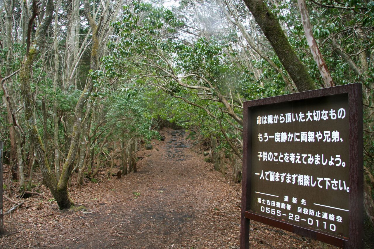 Der japanische Aokigahara-Wald nahe Tokio sieht verwunschen aus, hat aber eine traurige Geschichte. Er wird auch "Selbstmord-Wald" genannt, weil viele Menschen hier den Freitod begehen. Viele Geschichten von Geistern und verlorenen Seelen ranken sich um diesen Ort. Auf dem Schild stehen eine Notfall-Nummer und die Worte "Das Leben ist ein kostbares Geschenk. Bitte bleib nicht allein mit deinen Problemen und sprich mit uns."