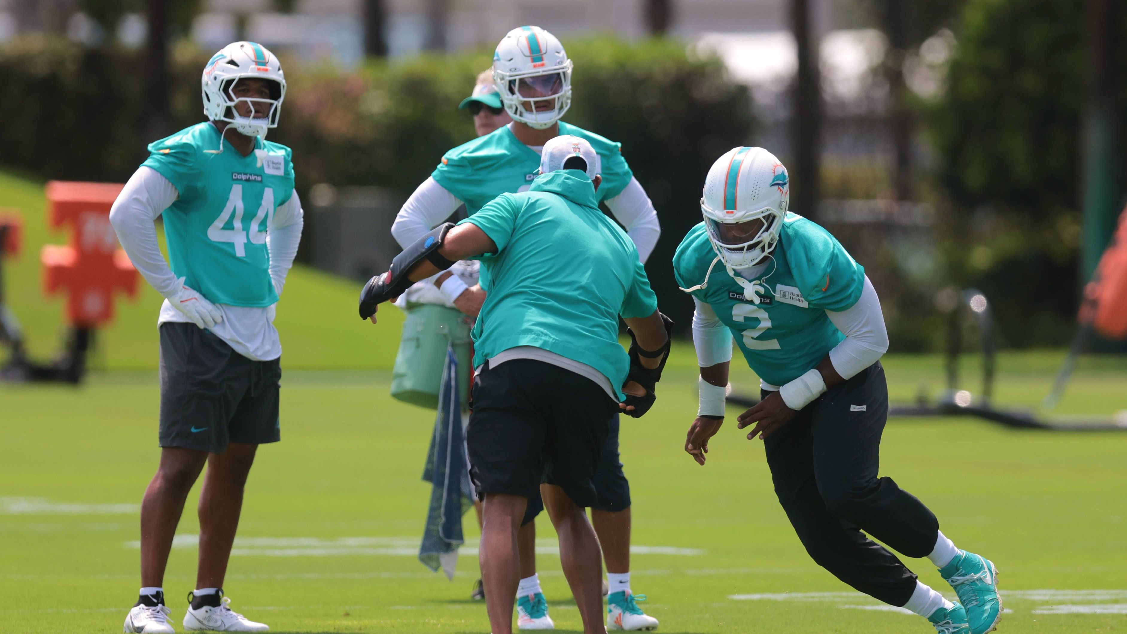 <strong>Miami Dolphins (2 Prozent)</strong>