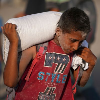 Die Menschen im Gazastreifen brauchen dringend Lebensmittel. Doch oft kommen die Hilfsgüter nicht ans Ziel.