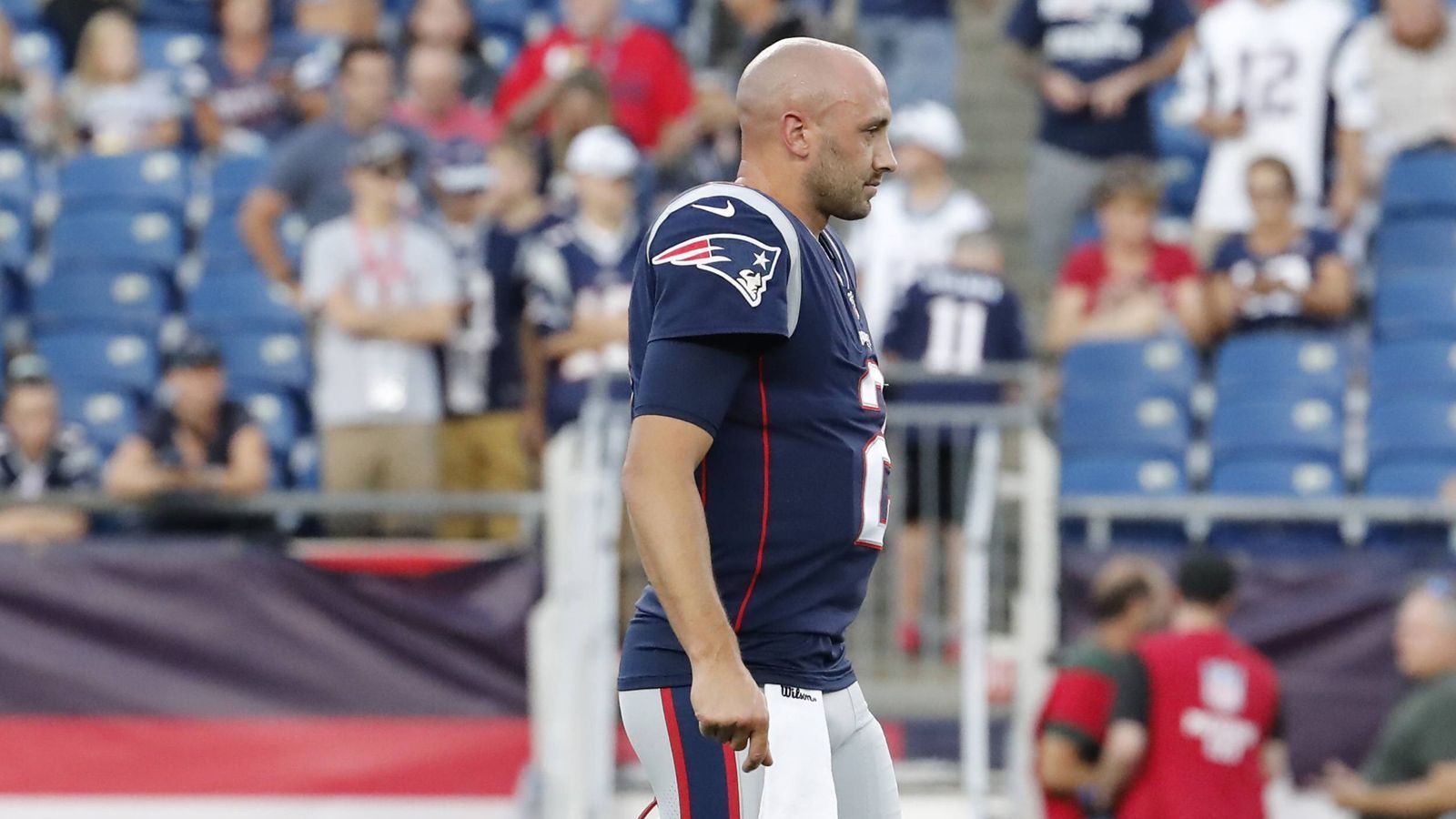 
                <strong>Brian Hoyer</strong><br>
                Team: New England PatriotsPosition: Quarterback
              