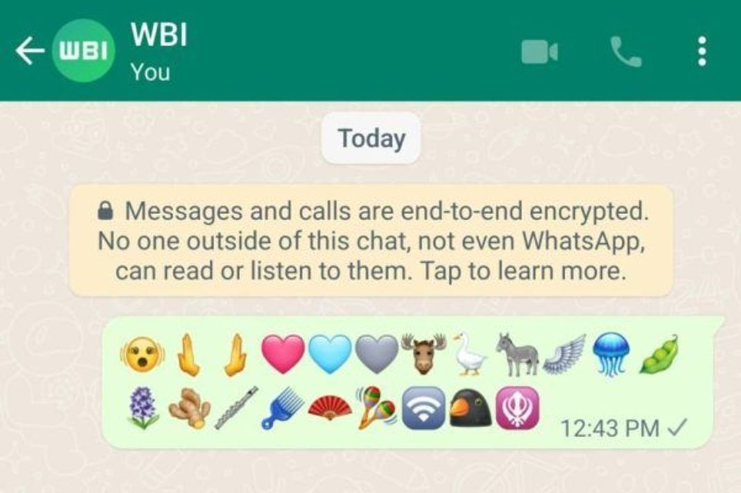 Diese neuen Emojis werden bald auf WhatsApp verfügbar sein.