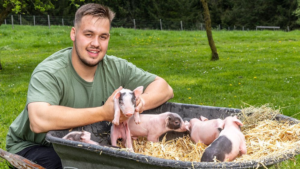 Neben der kleinen Schweinezucht umfasst der Betrieb Ackerland und Wald. Sogar Kürbiskernöl stellt er selbst her. Auch Ferienwohnungen gehören dazu.