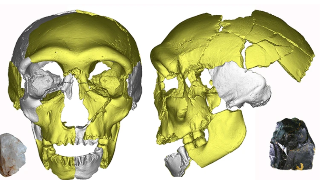 300.000 Jahre alte Überreste aus China