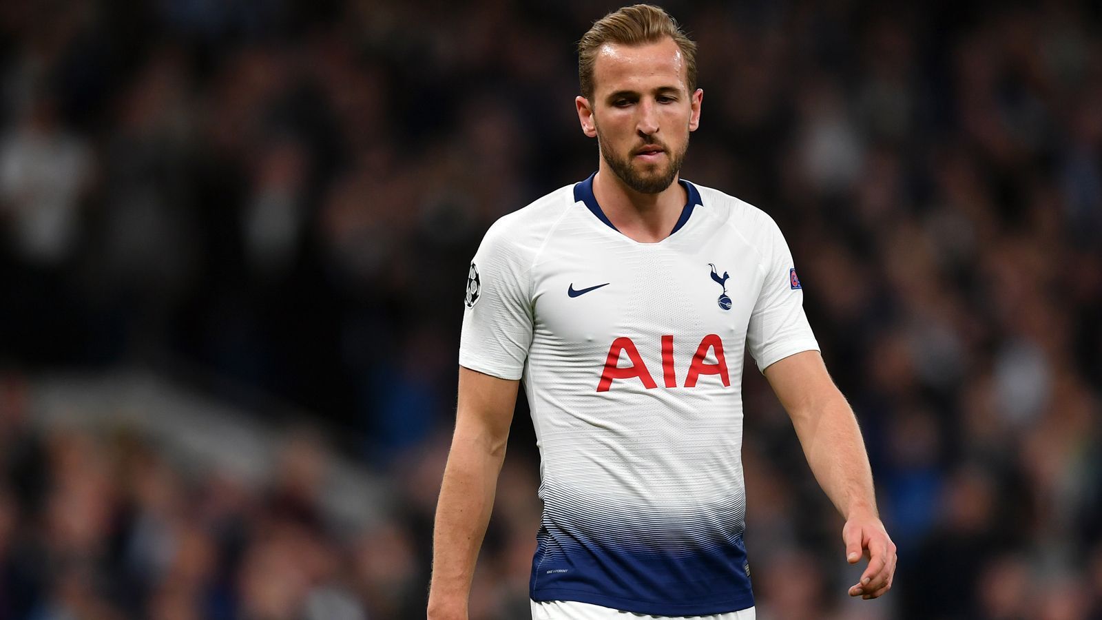 
                <strong>Angriff - Harry Kane (Tottenham Hotspur)</strong><br>
                Ablöse: -Stammt aus der eigenen Jugend
              