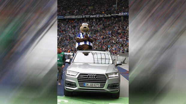 
                <strong>Hertha BSC</strong><br>
                Hertha BSC: Bei den Berlinern fährt nicht nur das Maskottchen auf Audi ab. Als exklusiver Partner statten die Ingolstädter Herthas Spieler und Verantwortliche mit Fahrzeugen aus.
              