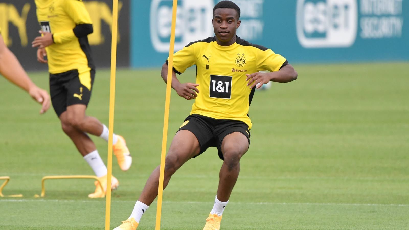 
                <strong>Yussufa Moukoko</strong><br>
                Der 15-Jährige ist DAS Talent im Dortmunder Nachwuchs. Nacheinander stellte er Tor-Rekorde in der U17- und in der U19-Bundesliga auf. Auch in der Vorbereitung beeindruckte er die BVB-Profis, so sagte beispielsweise Erling Haaland, dass Moukoko besser sei, als er es in dem Alter war. Die Dortmunder sehen in Moukoko bereits den nominellen Back-Up von Haaland. Allerdings darf das Ausnahmetalent erst im November in der Bundesliga ran, dann feiert der Stürmer seinen 16. Geburtstag. Ihm steht wohl eine goldene Zukunft bevor. 
              