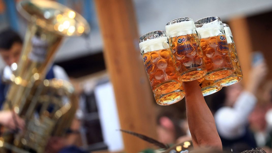 Eine Bedienung trägt im Hacker-Pschorr-Festzelt auf dem Oktoberfestmehrere Maßkrüge