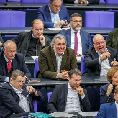 AFD Bundestag