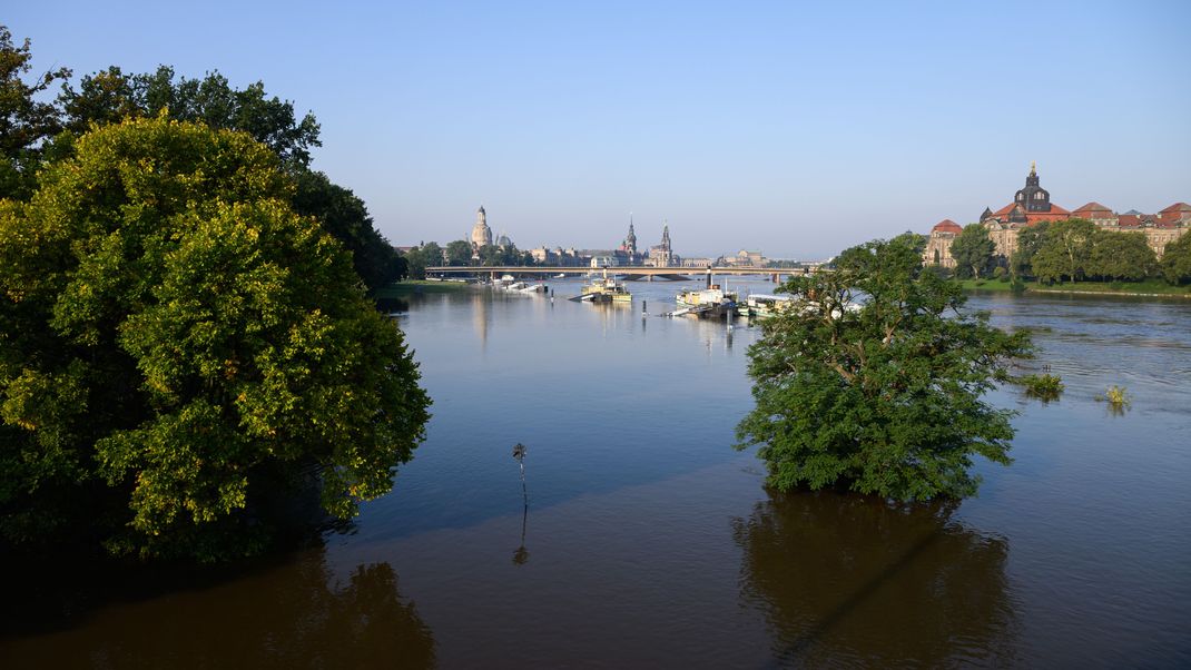 Die Anleger für die Schiffe der Sächsischen Dampfschifffahrt sind vom Hochwasser der Elbe umspült, im Hintergrund ist die Altstadtkulisse und die teilweise eingestürzte Carolabrücke zu sehen.