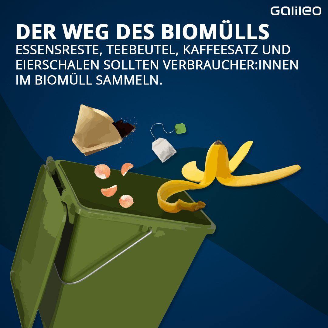 Essensreste, Teebeutel, Kaffeesatz und Eierschalen sollten Verbraucher:innen im Biomüll sammeln.